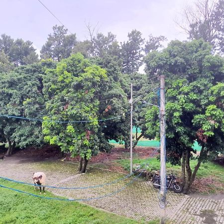 Nature View Homestay Дехрадун Экстерьер фото